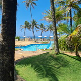 Simone Alessandra Morais Moura