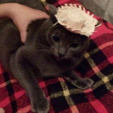 Denise Andrea Teixeira