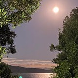 Priscilla Maes Schutel Santos