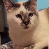 Luciana Carvalho Moreira