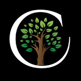 Coisas de Madeira Artefatos - Lili Nunes