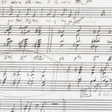 Antonio Carlos dos  Santos Silva Junior