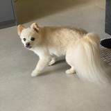 Amerinilda Bortolozzo Del Cielo