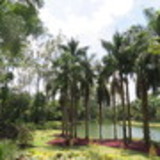 Flávia Marques Motta Monteiro