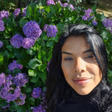 ANDREIA ESTEVAM RODRIGUES