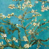 Lorenna Afra P. de Almeida