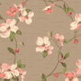 Maria das Graças Dias de Oliveira