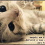 Daniele da Silva Mariano