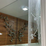 Fabiana Cristina Da Paixão