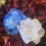 luciana valadares soares