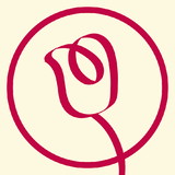 Flores Moda Feminina