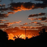 CARLOS AUGUSTO FERNANDES NASCIMENTO