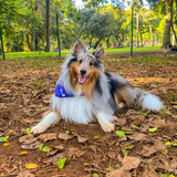 Giovana Gabriela Koptian