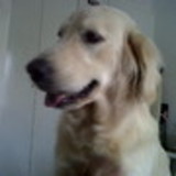 Andreza da S. G. Raphael