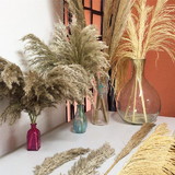 joao guilherme antunes ramos