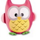 Ana Fest Aluguel de Brinquedos