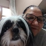 Maria José Rosa da Silva