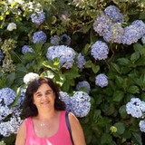 Dayse Rivaldo Fensterseifer