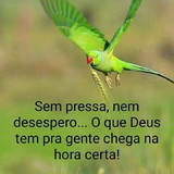 Pâmela Edison Schonhorst