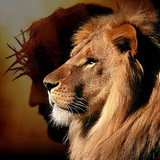 maria cristina dos santos canhette