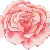 Personalizados Pink Rose