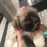 Naid Feliciano Barbosa da Silva