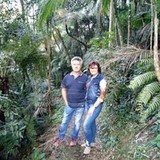 Nelci hoffmann Krause