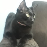 erivelto da silva sousa