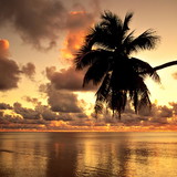 Paula de de Mendonça Teixeira