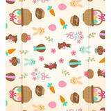 MOSIANE ARRUDA DA COSTA BARBOSA