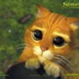 Josefa Naiane Silva Moreira