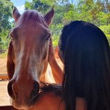 Viviane Ferreira Leite