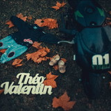 Thaynã Ricardo Ghiggi