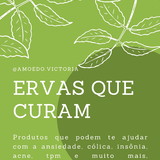 Ervas que curam