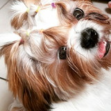 Atilla Bispo Santana