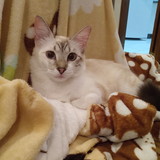 raimarafluente@yahoo.com