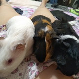 Ana Cláudia Santos de Almeida