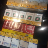 Alessandra Rodrigues da y