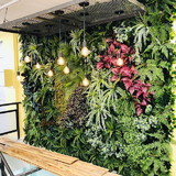 DECORAR JN JARDIM VERTICAL 