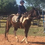 Equivila Centro Equestre