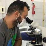Rafael Henrique