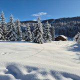 NOEMIE JEANNE MARIE LEMOINE