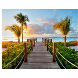 diego ferreira ribeiro