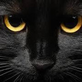 Cecília dos Santos Monteiro