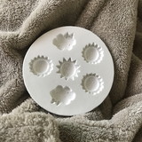 Marta Regina Scarton