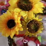 Josi menezes de melo silva