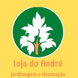 Nailcio André dias da silva