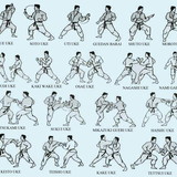 DANIEL CORRÊA DE SOUZA