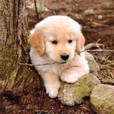 Gabriela Castelhano Martins