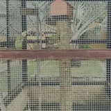 Felippe Pesque Pague